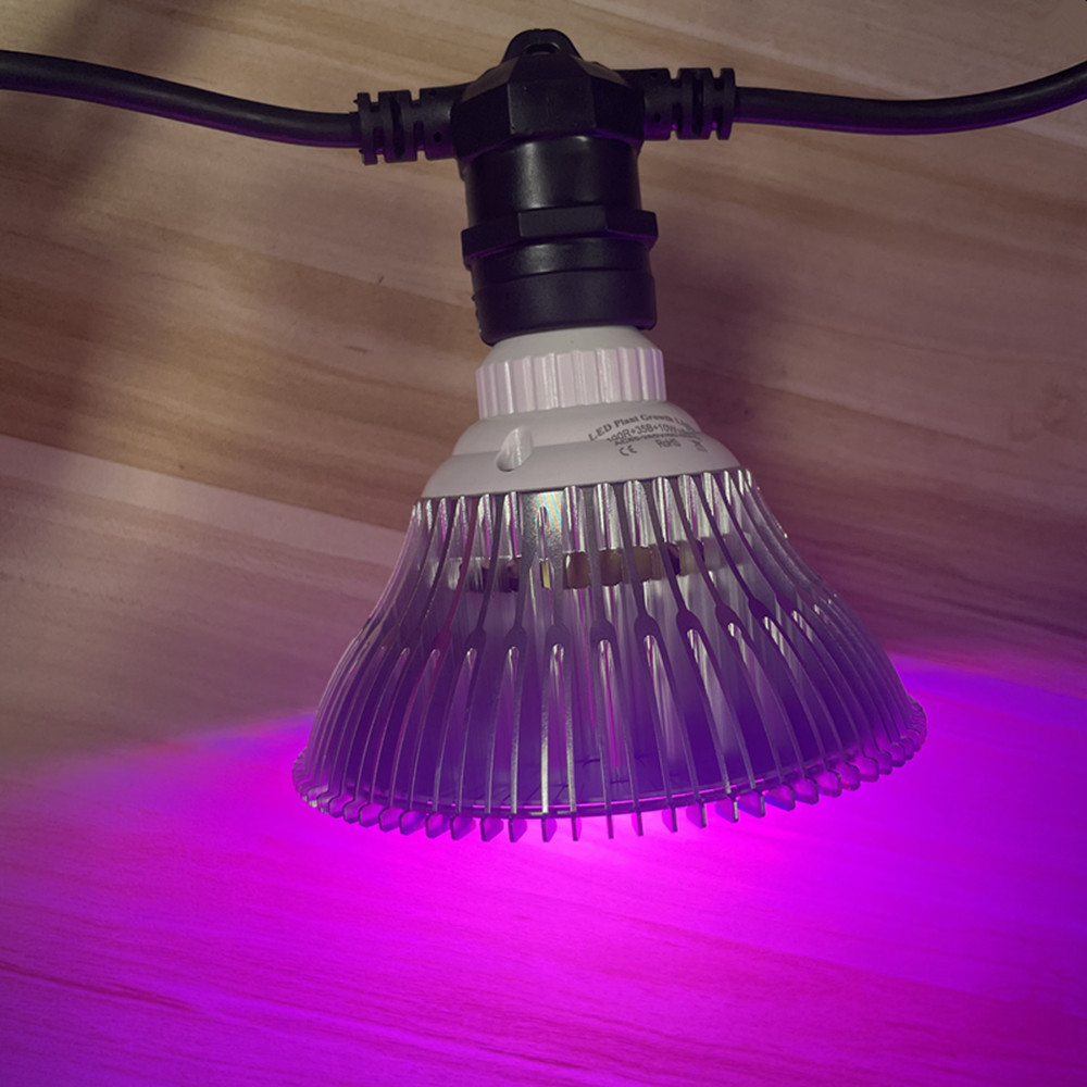 10M Cable LED String Commercia - Outdoor Lighting Gazebo review and price